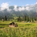 morning, kel, nature, mountain, kashmir, pakistan-2669181.jpg