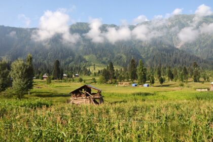 morning, kel, nature, mountain, kashmir, pakistan-2669181.jpg